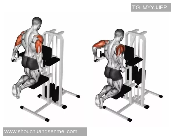 龙门架健身器材助力力量训练效果提升的全方位解析与推荐 龙门架健身器材助力力量训练效果提升的全方位解析与推荐