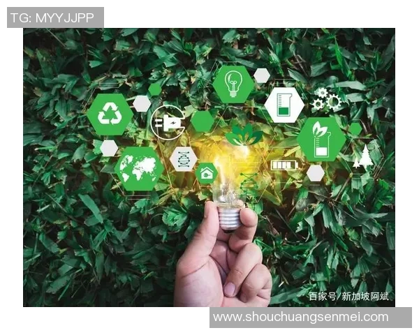 新加坡将推出全新环保政策 助力实现碳中和目标 新加坡将推出全新环保政策 助力实现碳中和目标