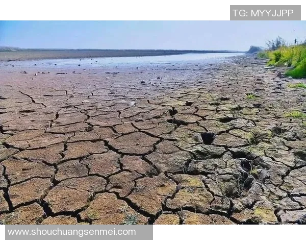 全球气候变化加剧引发极端天气现象频发 专家呼吁加强应对与国际合作 全球气候变化加剧引发极端天气现象频发 专家呼吁加强应对与国际合作