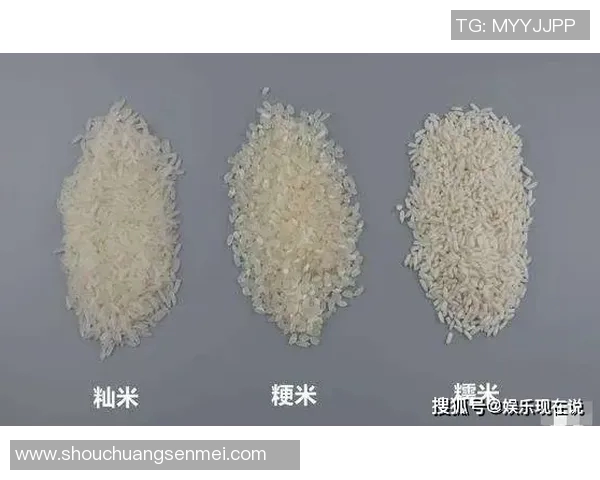 大米的多样化应用与营养价值解析:从主食到健康饮品的全方位探索 大米的多样化应用与营养价值解析:从主食到健康饮品的全方位探索
